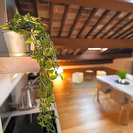 My Loft